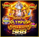 FREE SPIN 800 x 10